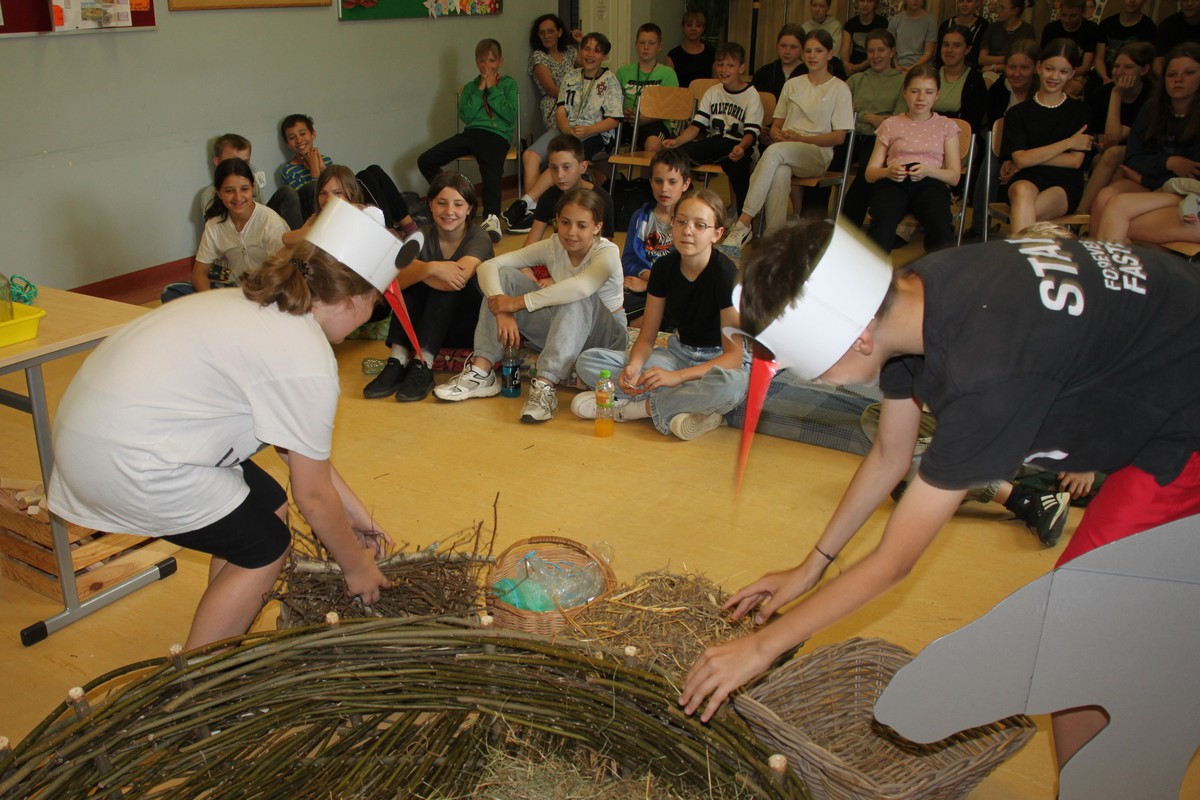 budujemy gniazdo, fot. D. Borzyszkowska