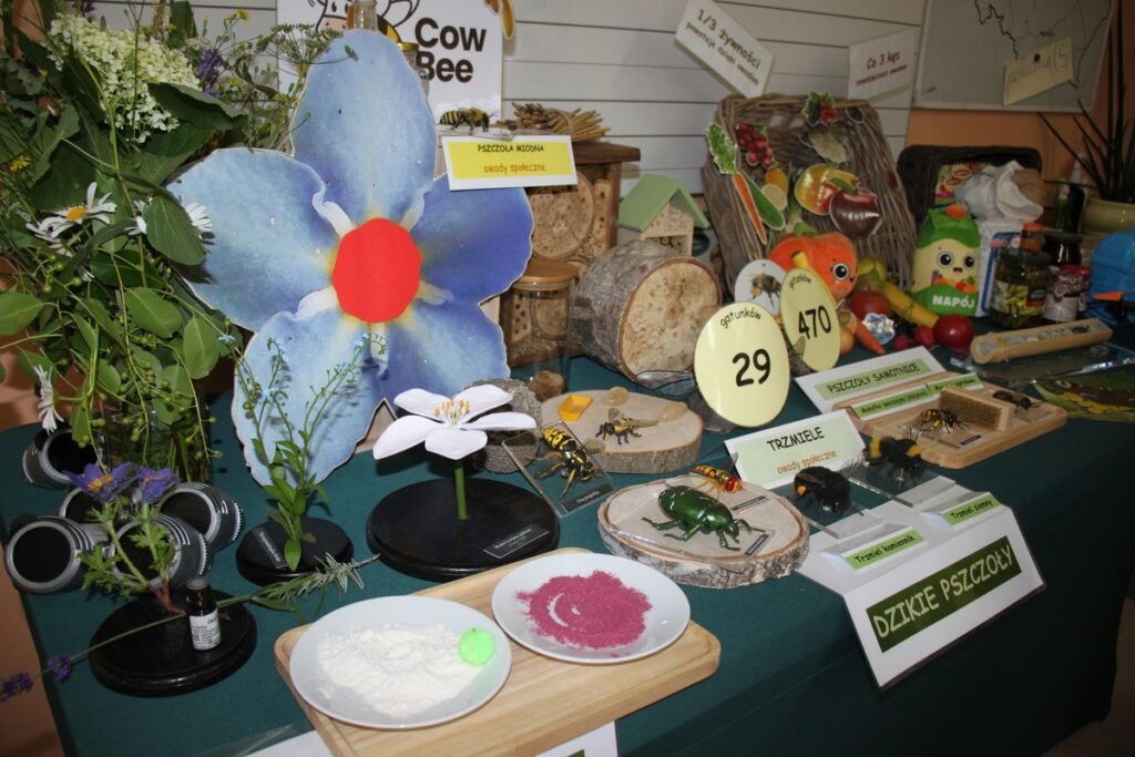 pomoce dydaktyczne, fot. D.Borzyszkowska