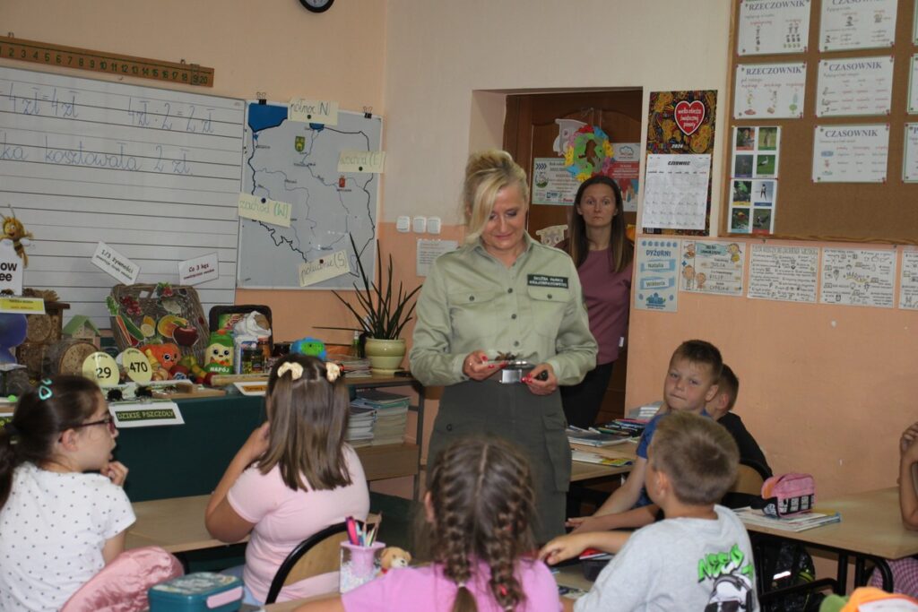 poznajemy zapylacze na modelach, fot. M. Jeżewska-Duraj