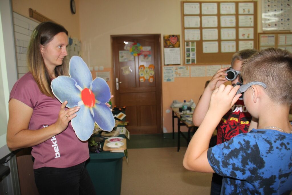 oglądamy świat oczami owada, fot. D. Borzyszkowska
