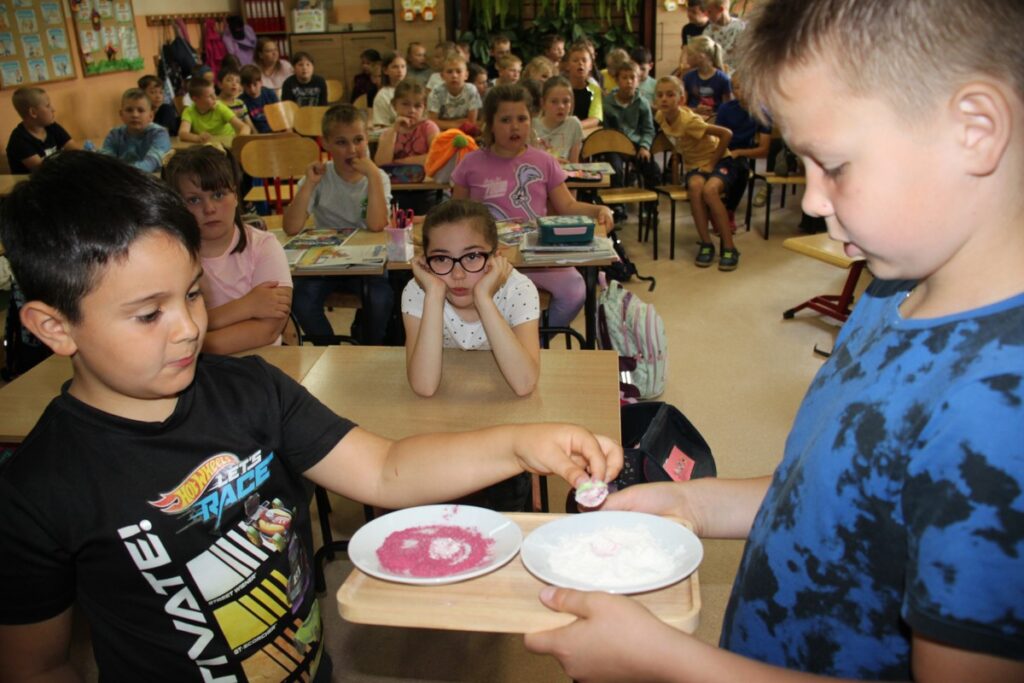 zapylenie, fot. D. Borzyszkowska