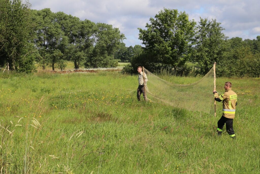 Wspólna akcja TPK i PSP Tuchola, fot. R. Borzyszkowski