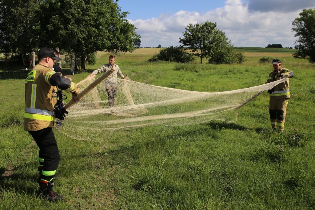 Koniec akcji odławiania, fot. R. Borzyszkowski