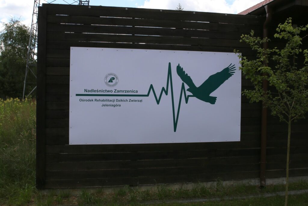 Ośrodek Rehabilitacji Dzikich Zwierząt, fot. R. Borzyszkowski