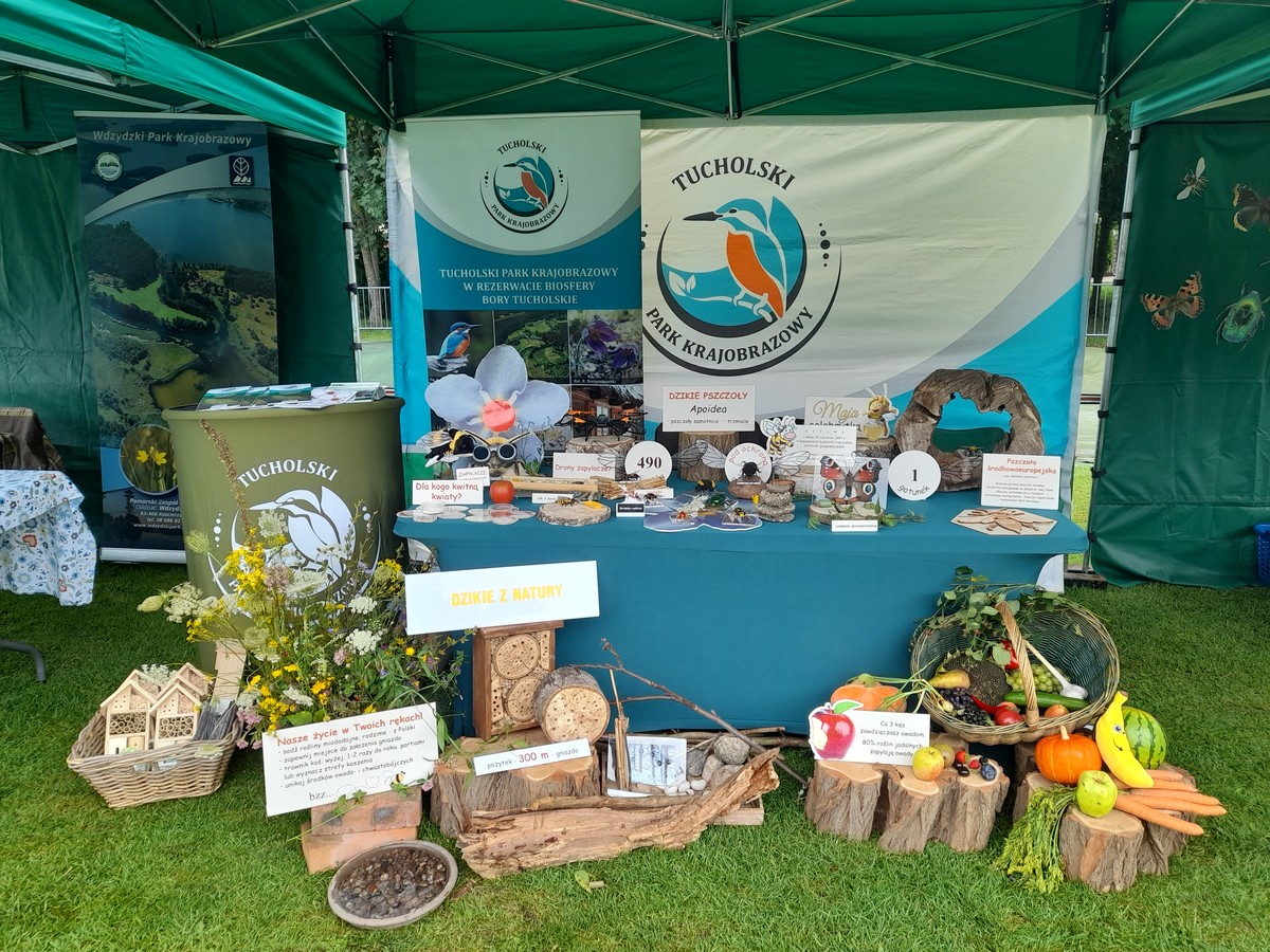 stoisko edukacyjne Dzikie z natury, fot. D.Borzyszkowska