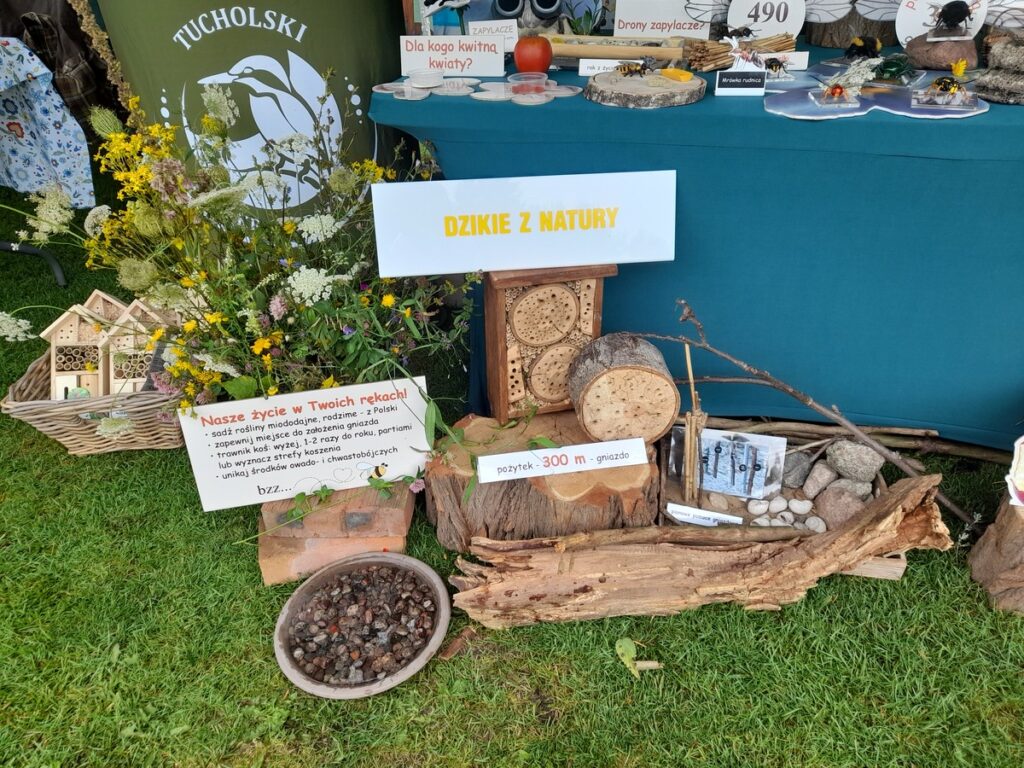 życie zapylaczy w naszych rękach, fot. D.Borzyszkowska