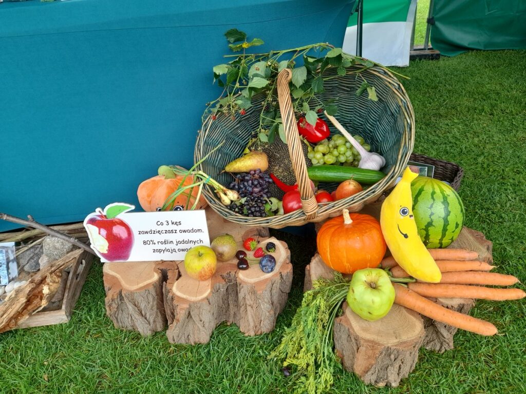 produkty owadów zapylających, fot. D.Borzyszkowska