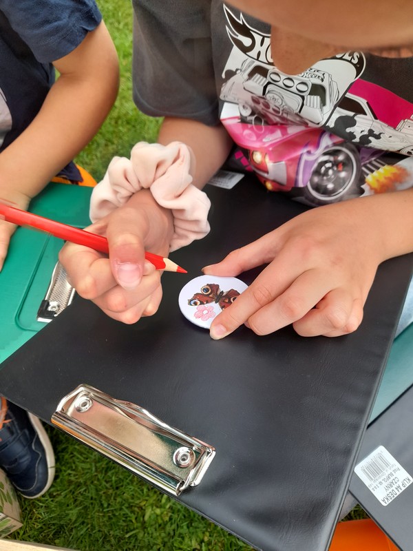 zapylacze potrzebują kwiatów, fot. D.Borzyszkowska