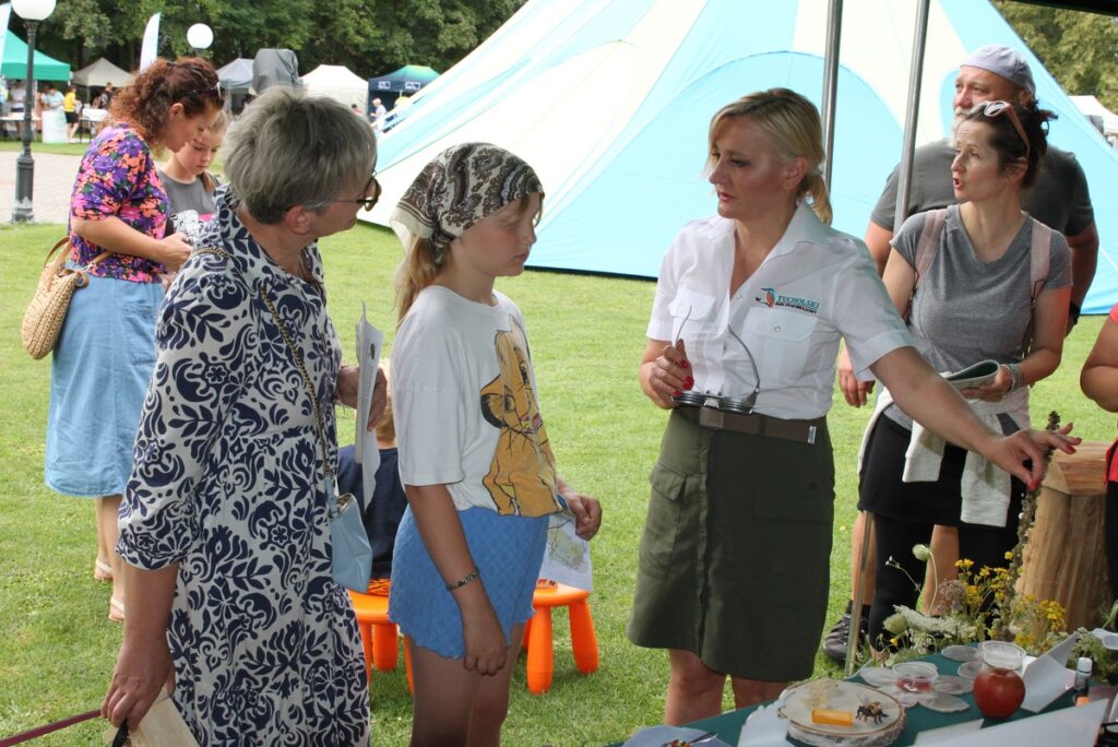 odkrywamy świat owadów, fot. R. Borzyszkowski