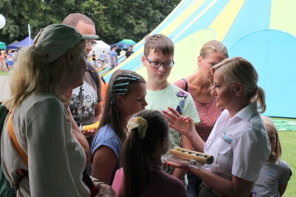 odkrywamy gniazdo murarki w trzcinie, fot. R. Borzyszkowski