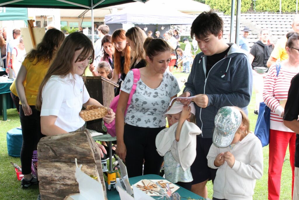 uczestnicy sprawadzają wiedzę o zapylaczach, fot. R. Borzyszkowski