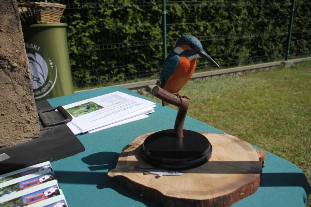 VIII. Śliwicka Dyszka, fot. Barbara Grzesiak