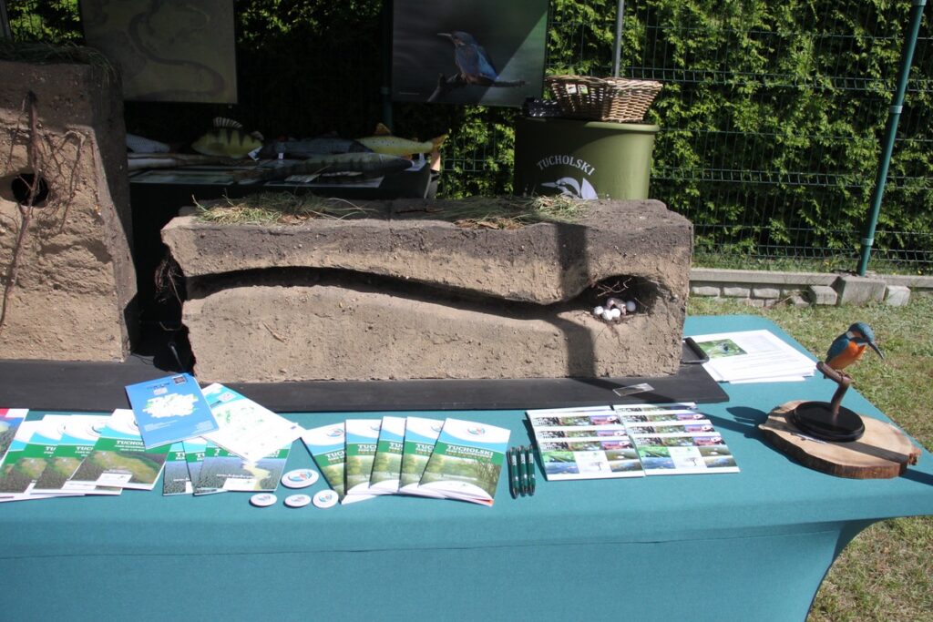 VIII. Śliwicka Dyszka, fot. Barbara Grzesiak