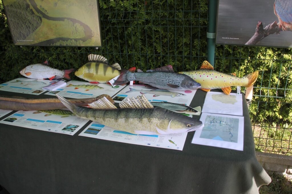 VIII. Śliwicka Dyszka, fot. Barbara Grzesiak