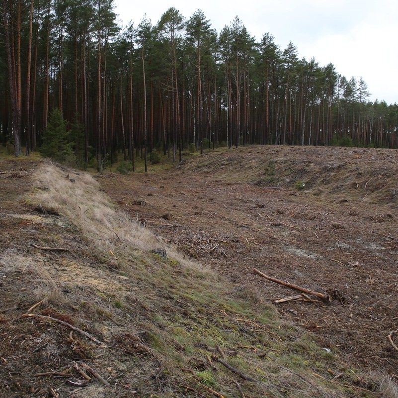 Suchy Kanał Brdy Fot. R. Borzyszkowski