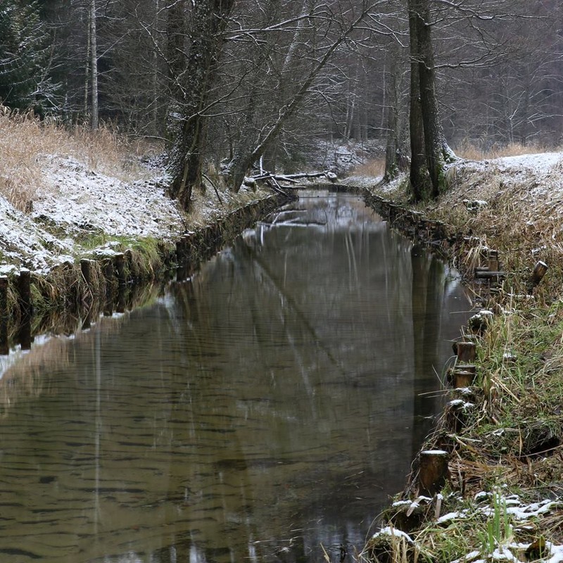 Kanał Węgornia Fot. R. Borzyszkowski