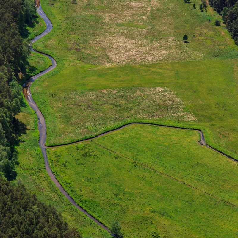 Ujście kanału Rzepiczna do rzeki Zwierzynki fot. B. Z. Chojęta (archiwum TPK)