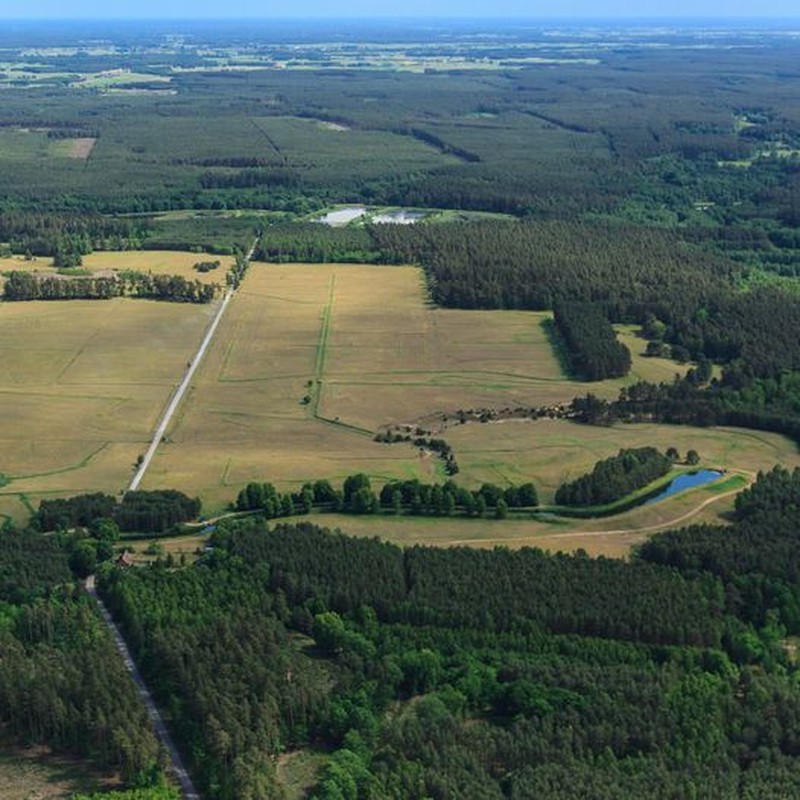Kompleks łąk Zielona Łąka Fot. B. Z. Chojęta (archiwum TPK)