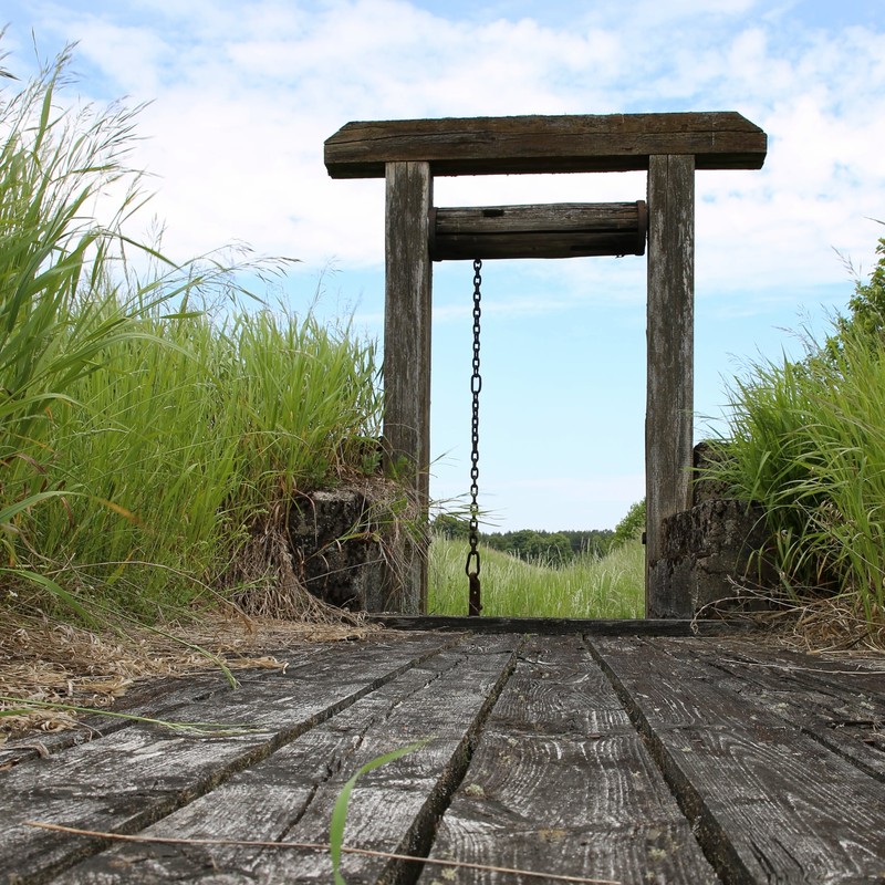 Jaz na kompleksie łąk Zielona Łąka Fot. R. Borzyszkowski