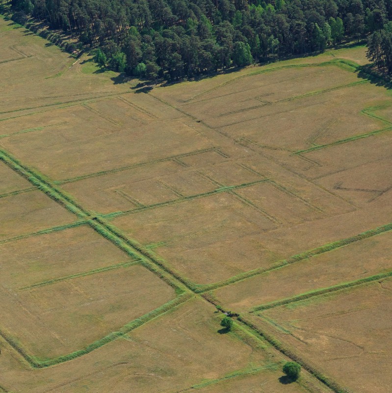 Kompleks łąk Zielona Łąka Fot. B. Z Chojęta (archiwum TPK)