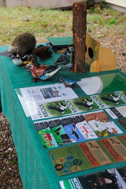 Eksponaty przyrodnicze, fot. GLPK