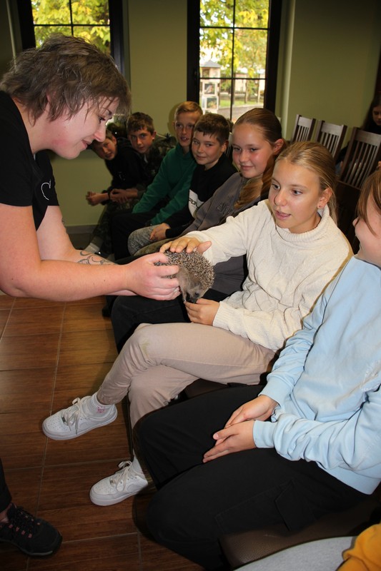 w bliskim kontakcie z jeżem, fot. D. Borzyszkowska