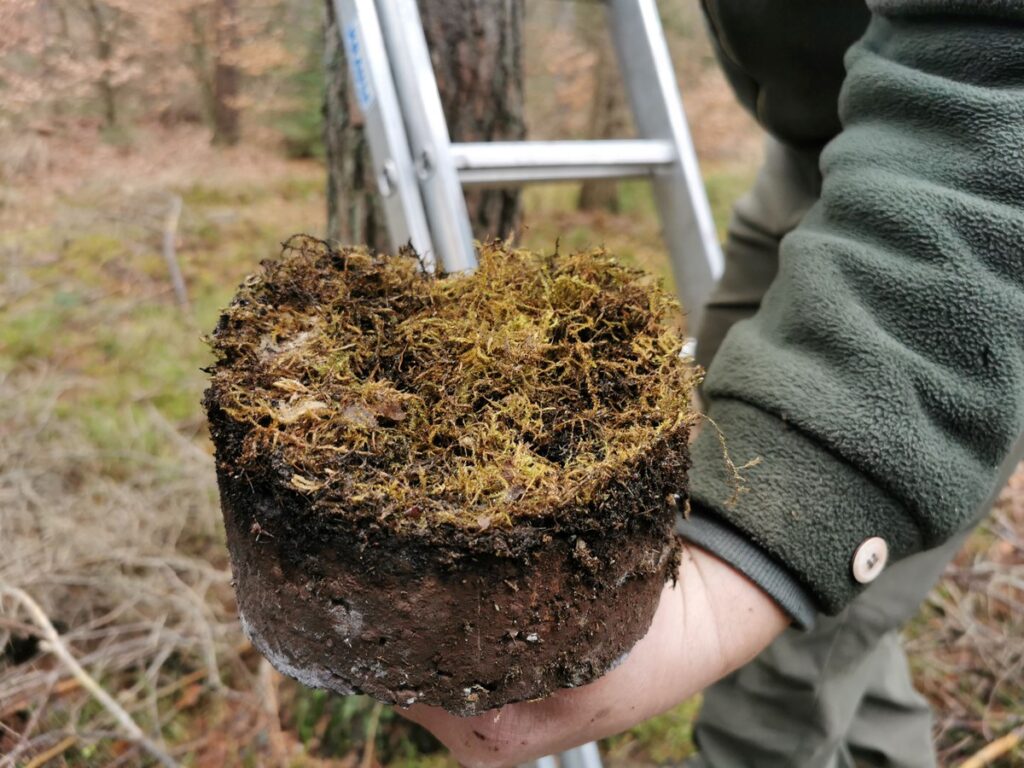Wnętrze budki zasiedlonej przez ptaki, fot. GLPK