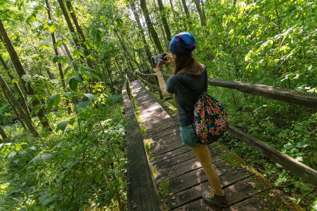 Jelenia Wyspa – ścieżka przyrodniczo-dydaktyczna na terenie Tucholskiego Parku Krajobrazowego nad rzeką Stążką, fot. Mikołaj Kuras dla UMWKP