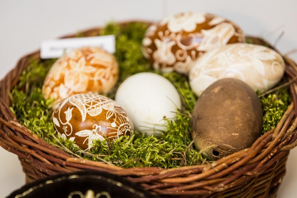 Otwarcie wystawy w Muzeum Borów Tucholskich, fot. Tomasz Czachorowski/eventphoto.com dla UMWKP