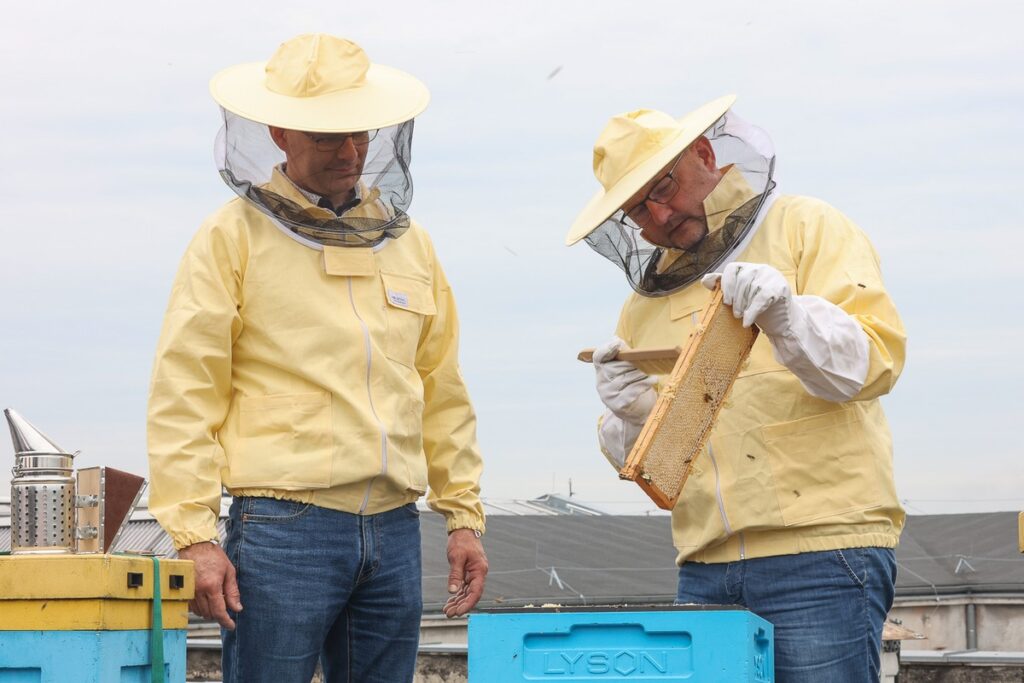 Miodobranie na dachu Urzędu Marszałkowskiego w 2023 roku fot. Mikołaj Kuras dla UMWKP