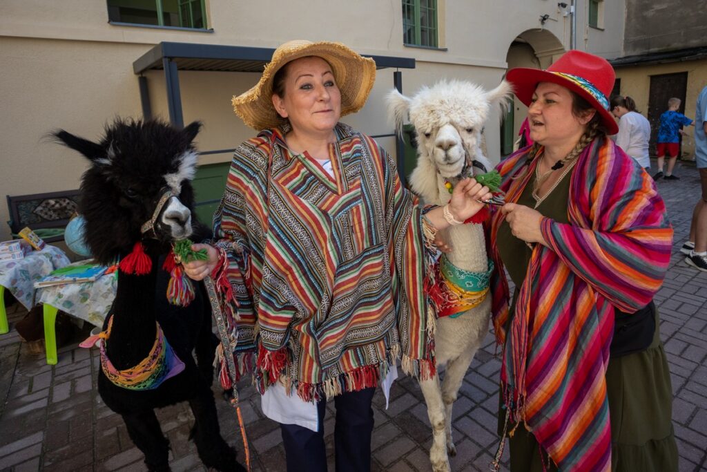 Impreza z okazji Dnia Matki „Medyk dla mamy, taty i dziecka”, fot. Mikołaj Kuras dla UMWKP