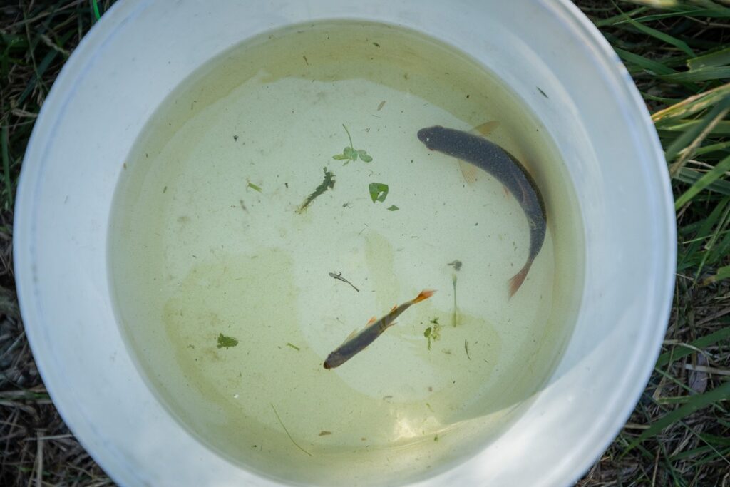 XIV Dziecięce Zawody Wędkarskie w Urzędzie Marszałkowskim, fot. Szymon Zdziebło, tarantoga.pl dla UMWKP