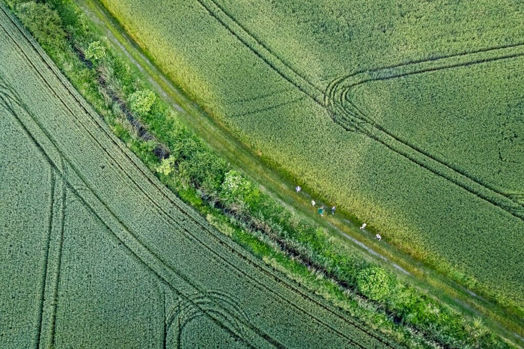fot. Balony nad kujawsko-pomorskim niebem, fot. Tomasz Czachorowski, eventpoto.com.pl dla UMWKP