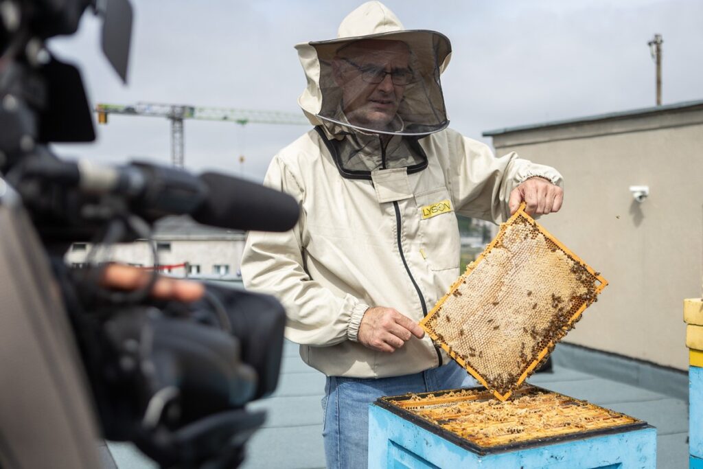 Miodobranie z marszałkiem Piotrem Całbeckim fot. Szymon Zdziebło/tarantoga.pl dla UMWKP
