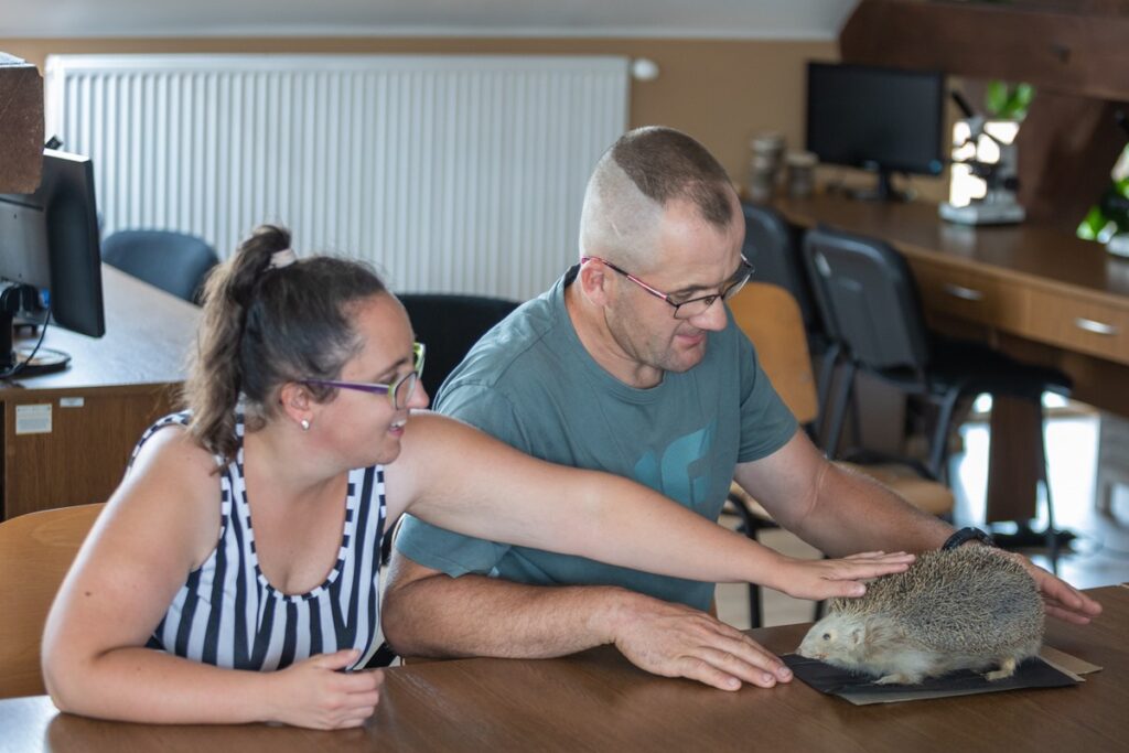 Górznieńsko-Lidzbarski Park Krajobrazowy, fot. Mikołaj Kuras dla UMWKP