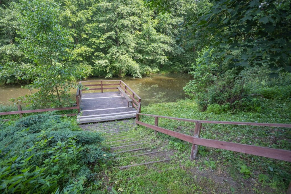Górznieńsko-Lidzbarski Park Krajobrazowy, fot. Mikołaj Kuras dla UMWKP