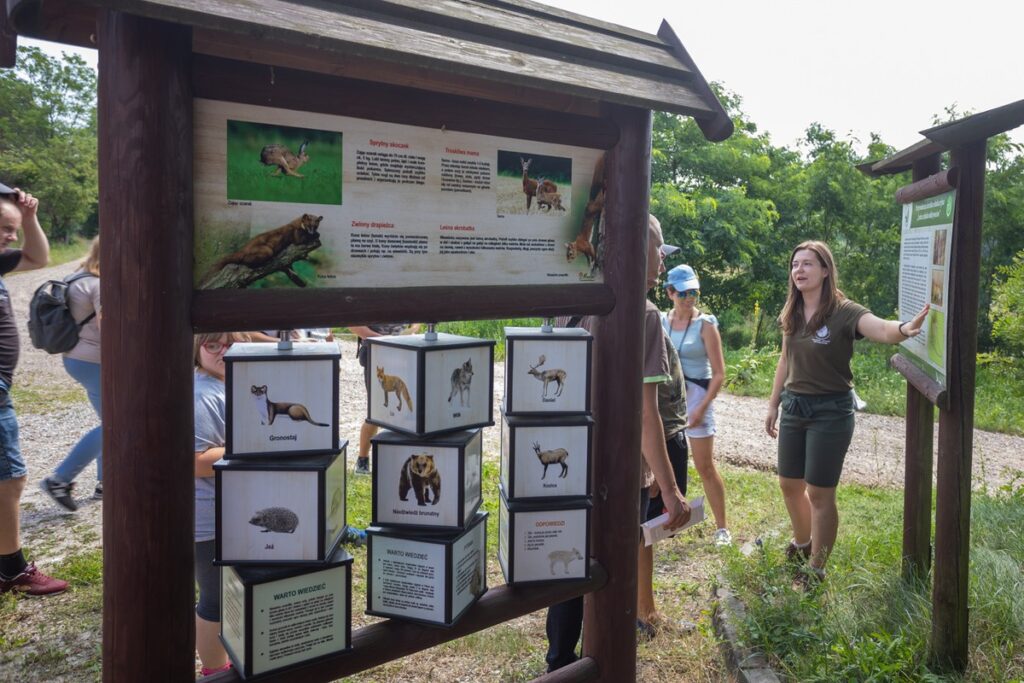 Górznieńsko-Lidzbarski Park Krajobrazowy, fot. Mikołaj Kuras dla UMWKP