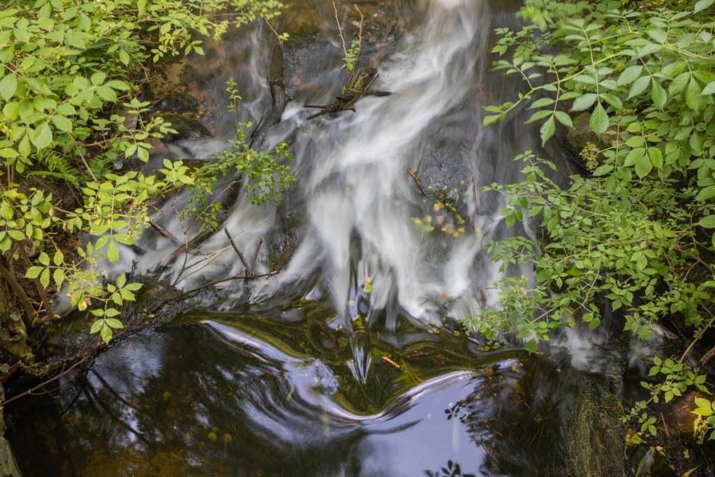 Górznieńsko-Lidzbarski Park Krajobrazowy, fot. Mikołaj Kuras dla UMWKP