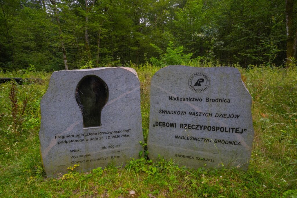 Górznieńsko-Lidzbarski Park Krajobrazowy, fot. Mikołaj Kuras dla UMWKP