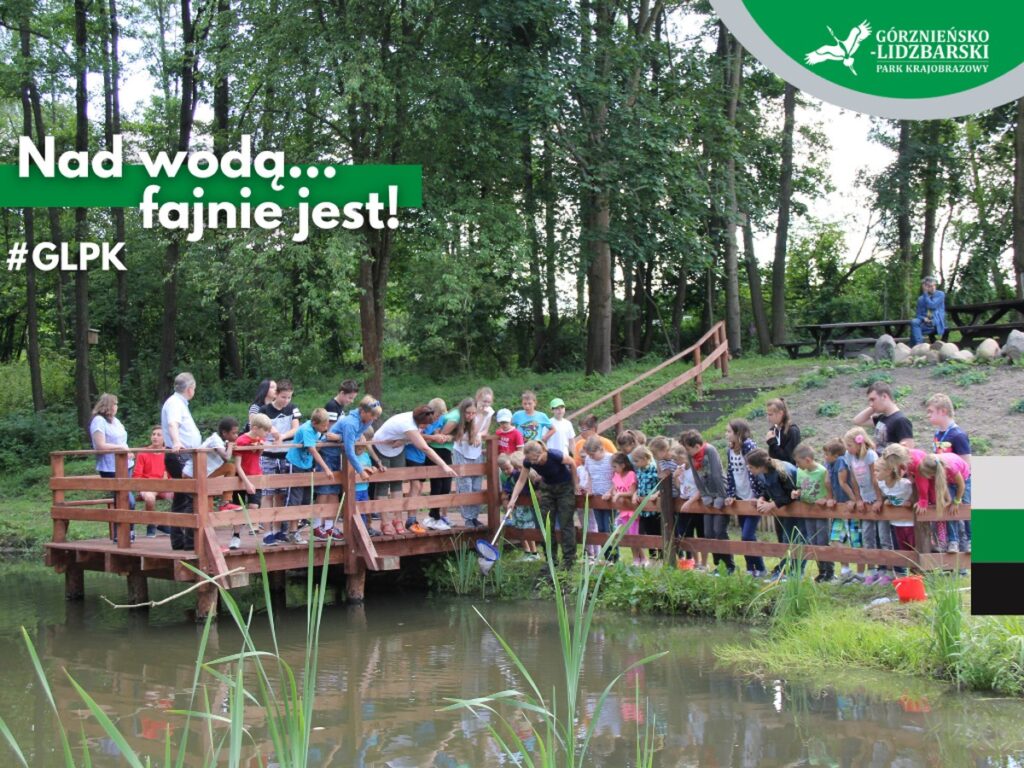 Zajęcia hydrobiologiczne, fot. GLPK