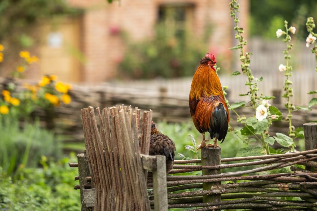 Skansen w Kłóbce fot. Szymon Zdziebło/tarantoga.pl dla UMWKP