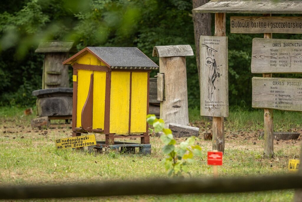 Skansen w Kłóbce fot. Szymon Zdziebło/tarantoga.pl dla UMWKP