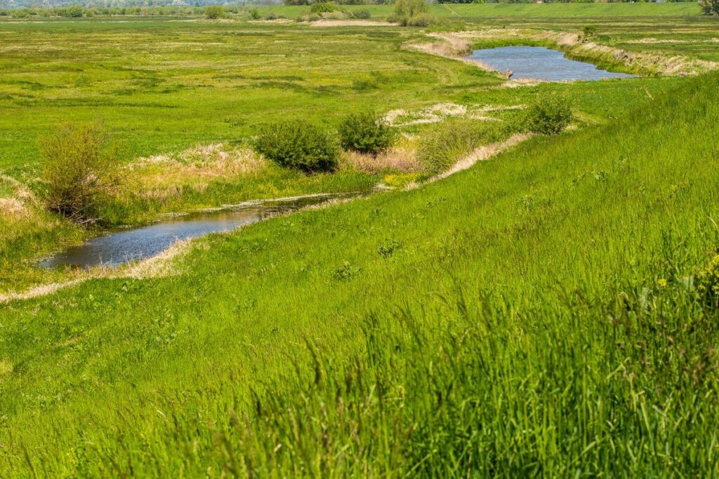 Park Krajobrazowy Góry Łosiowe, fot. Filip Kowalkowski dla UMWKP