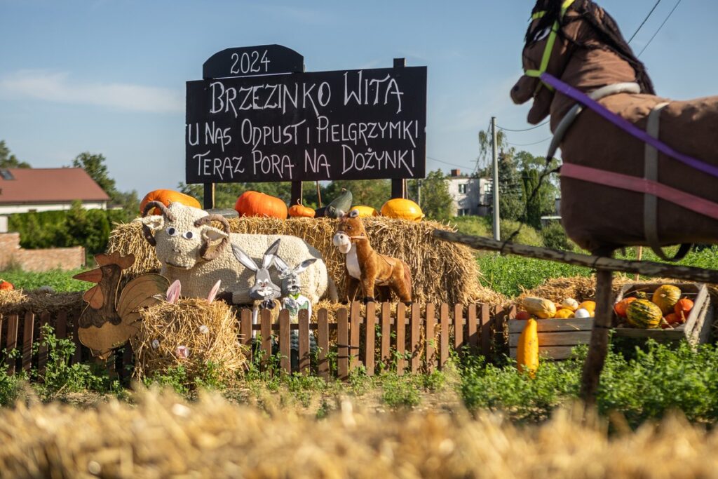 Witacz dożynkowy w Brzezinku, fot. Szymon Zdziebło/tarantoga.pl dla UMWKP