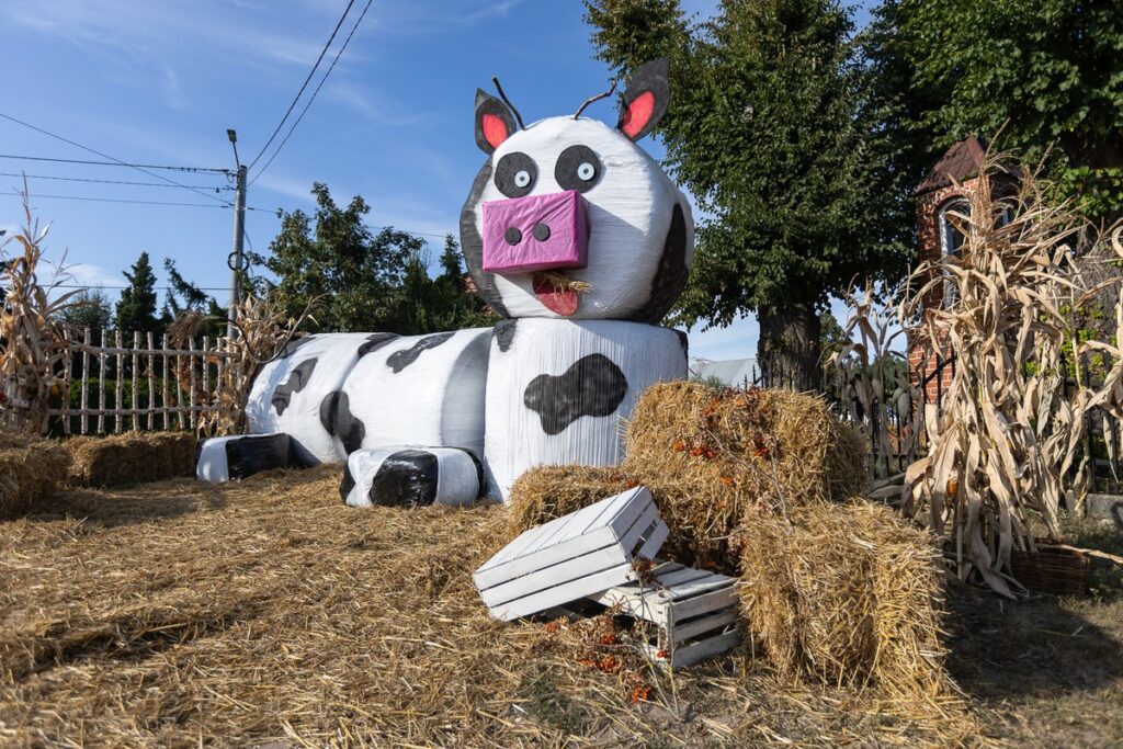 Witacz dożynkowy w Młyńcu Pierwszym, fot. Szymon Zdziebło/tarantoga.pl dla UMWKP