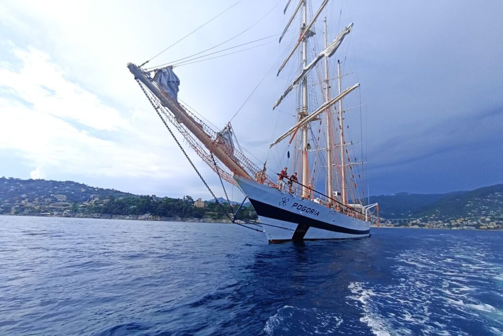 Żaglowiec Pogoria! Fot. STS Pogoria