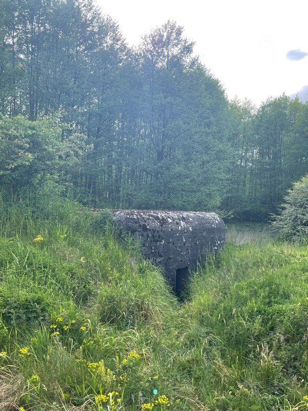 Zajęcia terenowe - sieć nauczycieli historii