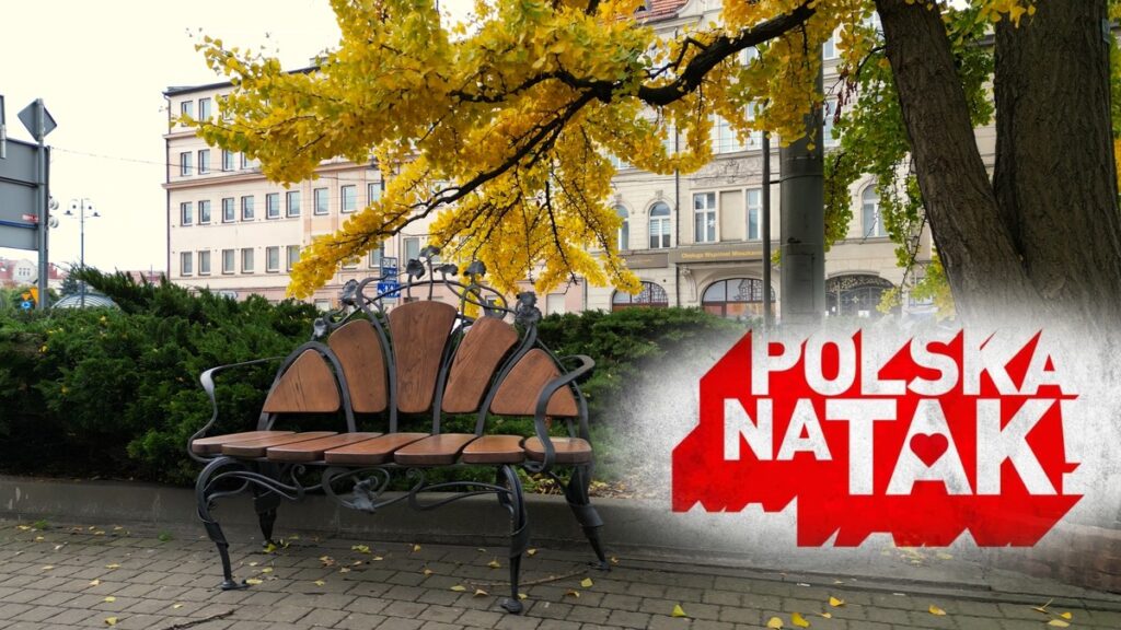 Ławeczka pod miłorzębem przed wejściem do budynku KPCEN w Bydgoszczy