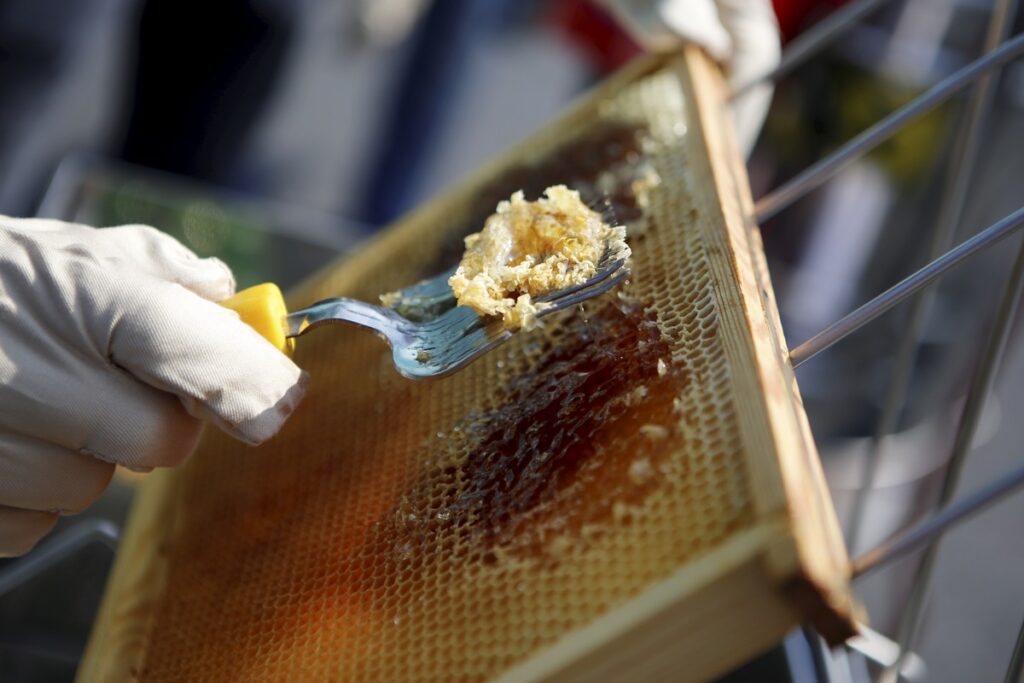 fot. Mikołaj Kuras dla UMWKP