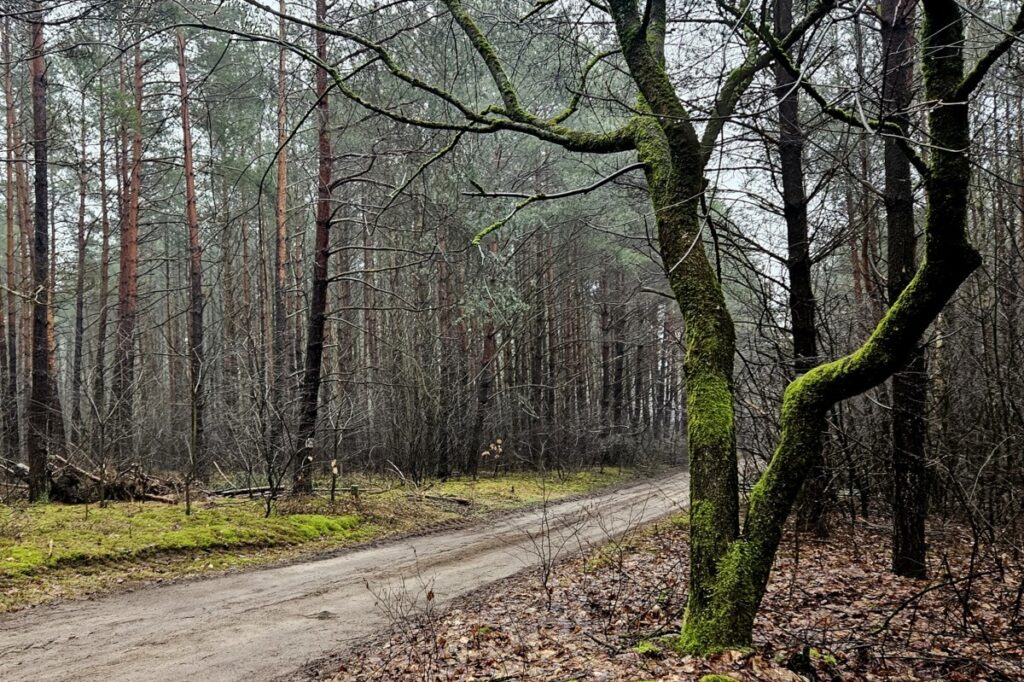 Opuszczona wieś Nowy Świat, fot. Adriana Andrzejewska-Kuras PR PiK